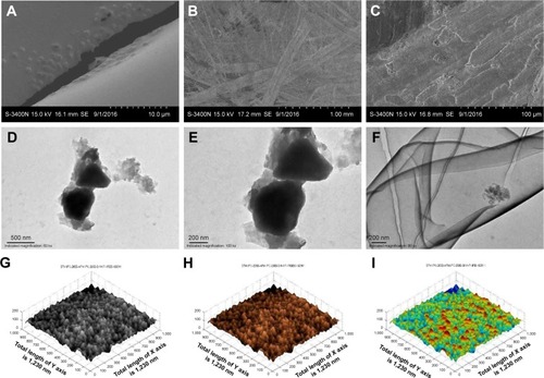 Figure 3 Morphological images of the LFFS obtained by SEM, TEM, and AFM. (A–C) Morphological SEM images (4,000× magnification, undiluted; 50× magnification, diluted 100-fold with water; 500× magnification, diluted 100-fold with water, respectively). (D–F) Morphological TEM images (60,000× magnification, diluted 100-fold with water; 100,000× magnification, diluted 100-fold with water; 80,000× magnification, diluted 200-fold with water, respectively). (G–I) Black scale and grayscale AFM images.Abbreviations: AFM, atomic force microscope; LFFS, liquid film-forming system; SEM, scanning electron microscope; TEM, transmission electron microscopy.