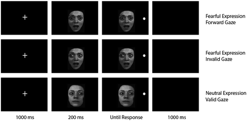 Figure 1. Examples of a fearful face forward gaze trial, fearful face invalid gaze trial, and a neutral face valid gaze trial.