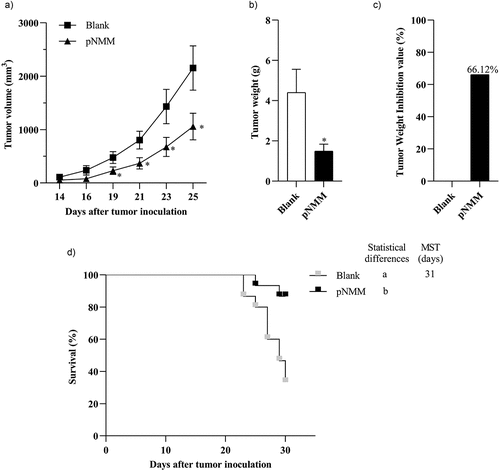 Figure 6. Therapeutic efficacy of the DNA vaccine in a B16-NMM+-tumor model.