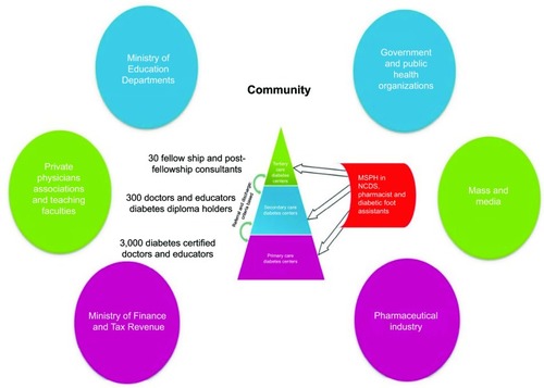 Figure 5 Proposed service model to target rising incidence of diabetes in Pakistan.