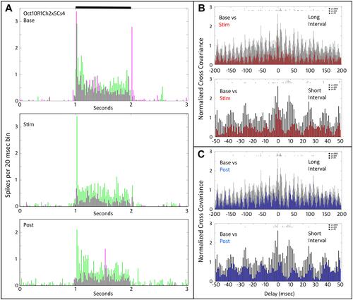 Figure 7 Peri-stimulus time histograms and normalized cross-covariance function for two On-Off retinal ganglion cells (Oct10R1Ch2x5Cs4) stimulated with a large spot. (A) The top panel shows the average firing of the two cells (magenta vs green) during the pre-tACS base period. The middle panel shows that one of cells (magenta) decreases in firing during tACS (Stim). The bottom panel shows that responses of both cells fall below baseline after cessation of the tACS current. Black bar at top indicates timing of stimulus presentation. (B) The top two panels show normalized cross-covariance functions for base (black) and during tACS (red) for long (−200 to +200 msec) and short (−50 to +50 msec) delays. (C) The bottom two panels compare cross-covariance during baseline (black) versus after cessation of tACS current (blue), at long and short delay intervals. Two-way ANOVA p=0.05. Interaction, F (800, 28,872) = 0.5657, NS. Row Factor, F (400, 28,872) = 2.359, p<0.0001. Column Factor, F (2, 28,872) = 490.7, p<0.0001. Square symbols above a bin denote significant differences in the multiplicity adjusted p-values between the plots at the p<0.05 level. Double height symbols above a bin denote significant differences between the plots at the p<0.005 level, triple height symbols denote significant differences at the p<0.0005 level.