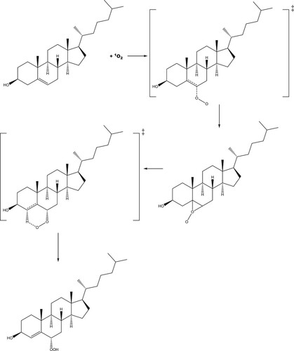 Scheme 3. Proposed reaction scheme for the production of S-6-hydroperoxycholesterol.