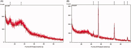 Figure 4 (A) XRD spectra of chitosan nanogel contain farnesol and (B) XRD spectra of alginate nanogel contain farnesol.