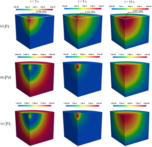 Figure 4. Spatial distribution of fluid pressures in interstitial tissue (a), blood vessels (b), and lymphatic vessels (c) at specific times for an injected volume of 2 mL. Unit for pressure: MPa. The largest vertical displacement is also depicted in (a). The white dash lines in (a) show the undeformed configuration. A scaling factor of 4 is applied to the displacement for easier visualization.