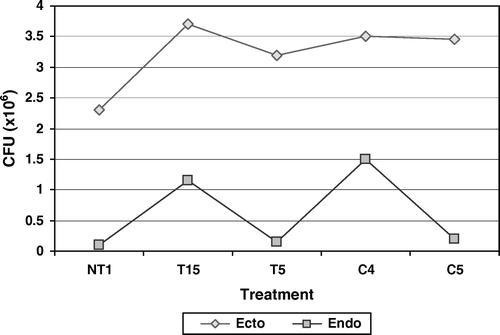 Figure 8.  Colonization of PGPR in tomato rhizosphere under 2% NaCl stress. Results showed significant difference at 1% level.