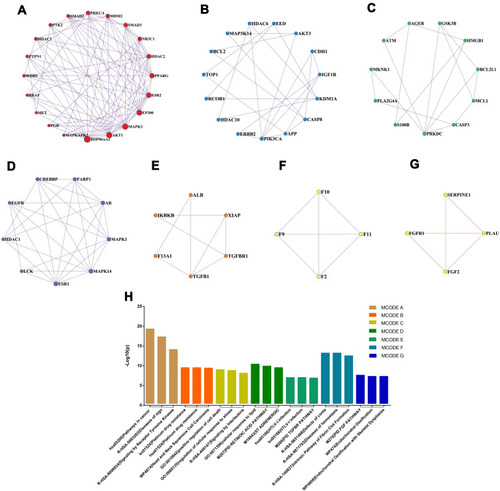 Figure 4 Module-based network analysis of potential targets of PCA against diabetic cataract. (A–G) Different functional modules in targets of PCA against diabetic cataract; (H) enriched annotations of functional modules across the inputted target genes.