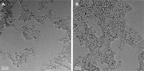 Figure 3 TEM image of ND–COOH and ND–COOH/eugenol complex.Notes: (A) ND–COOH particles with their individual sizes ranging from 4 nm to 5 nm in diameter and (B) ND–COOH/eugenol complex as eugenol is adsorbed onto the ND–COOH particles, showing the organic layer around ND with a thickness of 2–3 nm. White bar indicates 20 nm.Abbreviations: TEM, transmission electron microscopy; ND–COOH, carboxylated nanodiamond; ND, nanodiamond.