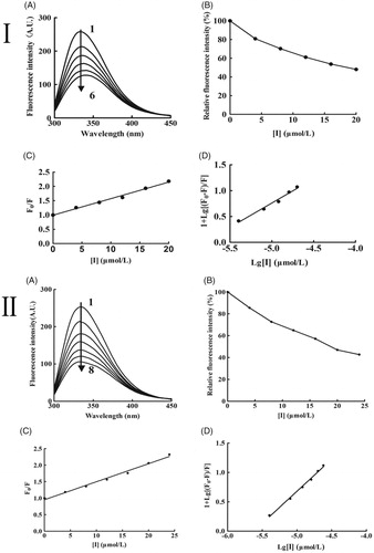 Figure 4. Variations in the intrinsic tyrosinase fluorescence with increasing the concentrations of KADs at λex =280 nm. (A) Emission spectra of tyrosinase. (B) The quenching effect of tyrosinase. (C) The plot of [F0/F] against [I]. (D) The plot of lg[(F0−F)/F] against lg[I]. I and II represent KAD1 and KAD2, respectively. The concentrations of KAD1 for curves 1–6 were 0, 4, 8, 12, 16 and 20 μM. The concentrations of KAD2 for curves 1–7 were 0, 4, 8, 12, 16, 20 and 24 μM.