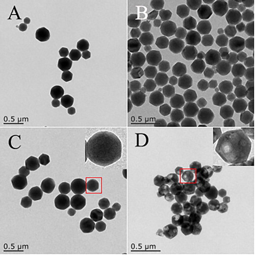 Figure 2. TEM images for materials calcination: (A) ZIF-8; (B) CPA/PVP/ZIF-8; (C) ZIF-8 composites after calcination; (D) CPA/PVP/ZIF-8 composites after calcination.