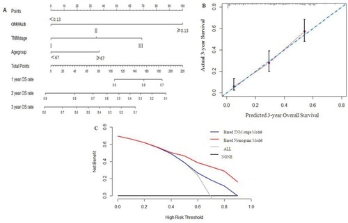 Figure 4 Prediction nomogram for overall survival.Notes: (A) Survival evaluation of nomogram-integrated CRP/Alb ratio in the patients with esophageal squamous cell cancer receiving CRT RT only. (B) The calibration plot for the probability of survival at 3-year after treatment. (C) The decision curve analysis of the nomogram for the 3-year survival rate.