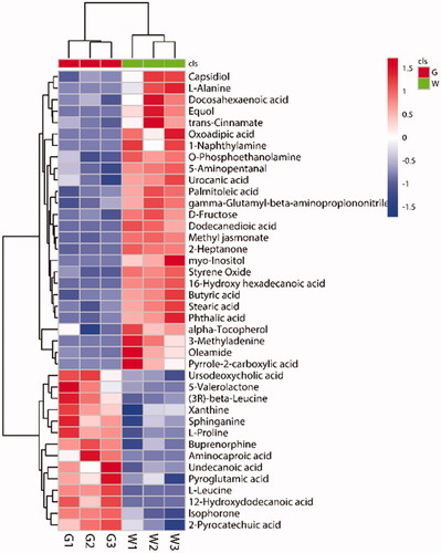 Figure 4. Heat map of differentially expressed metabolites (DEMs). Each column represents a sample, and each row represents a metabolite. The colour in the image indicates the relative expression levels of metabolites in the sample group, and the change from blue to red indicates an increase in the relative expression levels. G stands for the green shell, W stands for the white shell.