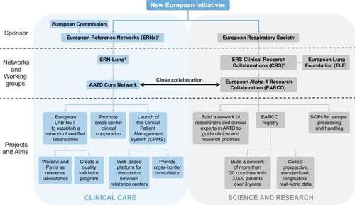 Figure 2 Structure of new European initiatives. †Includes various networks of complex or rare diseases, and/or respiratory diseases.