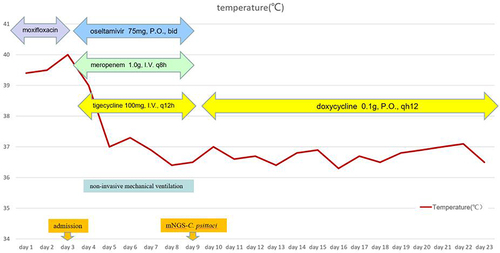 Figure 2 Body temperature changes and treatment process of case 1: in the first three days of onset, the patient showed persistent high fever. On the second day after the application of tigecycline, the patient’s temperature returned to normal.
