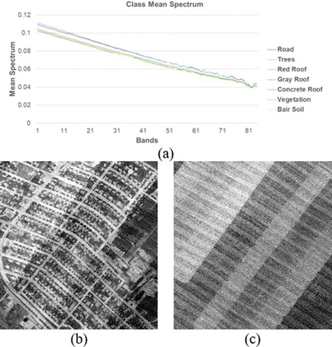 Figure 3. The 2014 IEEE GRSS data fusion contest dataset: (a) thermal mean spectrum; (b) the 80th band of thermal data and (c) the 82th band of thermal data.