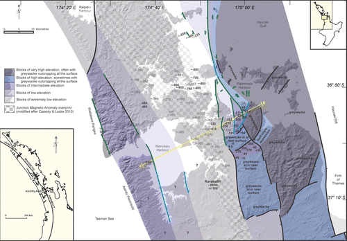 Figure 8  Speculative interpretation of relative elevation of basement blocks in the Auckland region, using faults described in the text and borehole information. Previously published faults (black), previously inferred faults (blue) and new faults inferred in this study (green). No exact height above or below sea level is intended by these coloured zones. Blocks are inferred from outcropping greywacke from Murihiku or Waipapa (composite) terranes, from boreholes that reached greywacke (representative borehole depths given as black numbers) and from boreholes that did not reach greywacke (grey numbers with a > ‘deeper than’ symbol). Numbers proceeded by a ~ symbol are approximate depths below sea level estimated from marine seismic profiles illustrated in Davy (Citation2008). Position of the Junction Magnetic Anomaly has been superimposed as a subtle checker pattern (modified after Cassidy & Locke Citation2010). Inset (bottom left) shows the position of the Junction Magnetic Anomaly as it passes beneath the northern North Island (including the Auckland area). The yellow line A–B is the position of the cross-section in Fig. 9.