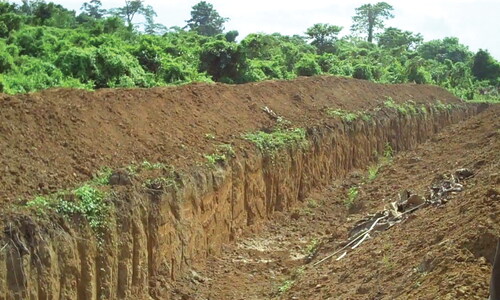 Figure 3 Trench between a tea estate and the Lower Doigurung Reserve Forest. Photo by author.