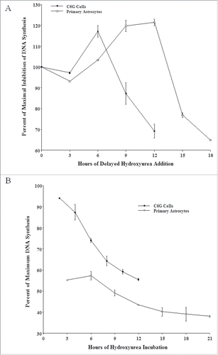 Figure 5. Effect of a) delayed addition to and b) early removal of hydroxyurea from to cell cultures on DNA synthesis of C6G cells and primary astrocytes. Serum deprived C6G cells and primary astrocytes were allowed to re-enter the cell cycle through serum up-shift. a) At various time points after serum shift-up, hydroxyurea was added to both cultures (final concentration: 10−3 M). [3H]-thymidine was added to both cell cultures one hour prior to the peak of DNA synthesis (15 hours for C6G cells, 24 hours for primary astrocytes). Incubation of both cell cultures was terminated one hour later. b) At different time points after serum up-shift, medium containing hydroxyurea was removed. Cell cultures were then overlaid with medium that was free of hydroxyurea and incubated until the peak of DNA synthesis (24 hours for primary astrocytes, 15 hours for C6G cells). [3H]-thymidine was added to both cell cultures one hour prior to termination. For both a) and b), effects of hydroxyurea on DNA synthesis of both cultures at different time points were compared to that at T0 (i.e. maximum inhibition). All data points represent results from 2 experiments.