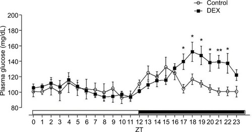 Figure 1 L/D glucose cycle profile of control rats (lines with circles) and treated with dexamethasone (lines with squares).