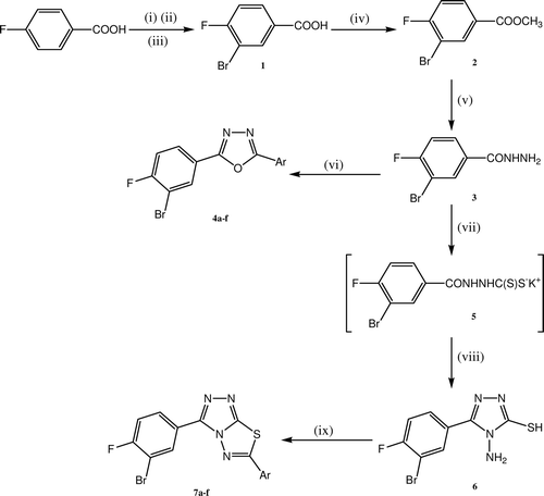 Scheme 1.  Reagents and conditions: Synthetic route to target compounds 4a–f and 7a–f. (i) KBrO3, 80°C; (ii) H2SO4 add over a period of 3 h; (iii) heat, 90°C−100°C, 2 h; (iv) CH3OH, H2SO4, reflux for 4 h; (v) NH2NH2.H2O, absolute C2H5OH, reflux for 6 h; (vi) POCl3, Ar-COOH, reflux for 8–12 h; (vii) KOH, CS2, absolute C2H5OH, reflux for 14 h, (viii) NH2NH2.H2O, reflux for 2 h; (ix) POCl3, Ar-COOH, reflux for 3–5 h. Where a, Ar= C6H5; b, Ar= 4-Cl-C6H4; c, Ar= 4-F-C6H4; d, Ar= 4-CH3-C6H4; e, Ar= 4-OCH3-C6H4; f, Ar= C11H9;