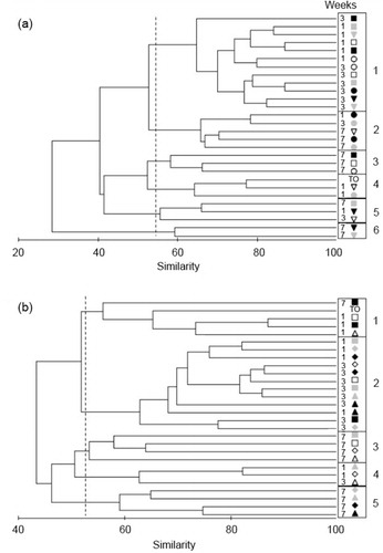 Fig. 2  Unweighted pair group method with arithmetic mean dendrograms based on Bray-Curtis similarities among 16S rRNA rDNA capillary-electrophoresis single strand conformation polymorphism profiles in the presence of (a) Arabian light crude oil and (b) diesel fuel incubations. The initial community (TO); non-amended controls (squares); samples amended with crude oil (circles) or crude oil with Inipol EAP 22 (inverted triangles) and samples amended with diesel oil (rhombs) or diesel oil with Inipol EAP 22 (triangles) are shown for incubation temperatures of 4°C (white), 10°C (grey) and 20°C (black). Dashed lines indicate cut-off similarity value, which were assigned to 50–60% for adequate cluster definition.