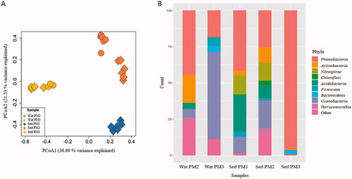 Figure 3. Principal coordinate analysis (PCoA) plot of 16S rRNA sequences (A) and bar plot showing microbial composition at the phylum level in environmental samples (B). Consensus of replicates by sample type is showed in the bar plot. Taxonomic affiliation is described at right. Abbreviations: Wat PM2: water sample PM2; Wat PM3: water sample PM3; Sed PM1: sediment sample PM1; Sed PM2: sediment sample PM2; Sed PM3: sediment sample PM3.