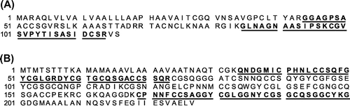 Fig. 3. Amino acid sequences of non-specific lipid-transfer protein 1 (NCBI accession No. A2ZHF1; 11.3 kDa) and lectin (NCBI accession No. Q01MB6; 22.7 kDa).