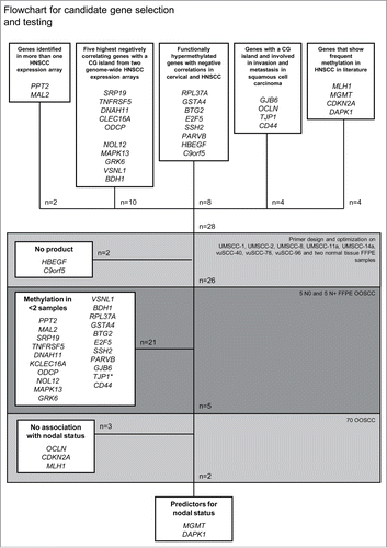 Figure 1. Flowchart for candidate gene selection and testing * TJP1 showed methylation in all samples and was therefore excluded.