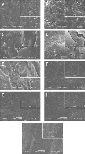 Figure 5. Epicuticular wax crystal structure of ‘Bingtang’ fruits during storage for 40 days as imaged at ×400 and ×1500 magnifications. (a): Samples at harvest. (b–e): Samples stored at 4°C from 10 to 40 days. (f–i): Samples stored at 25°C from 10 to 40 days.