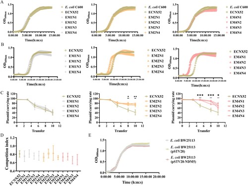 Figure 2. Fitness assessment of evolved ECNX52 strains. A. Growth curve of evolved ECNX52 strains in antibiotic-free LB medium. B. Growth curve of evolved ECNX52 strains in LB medium containing 16 μg/mL MEM. C. Stability of pNX52-NDM-5 plasmid in evolved ECNX52 strains. D. Competition index between evolved ECNX52 strains and E. coli C600. E. Fitness assessment of blaNDM-5 resistance gene. pSTV28-NDM5 is a blaNDM-5 overexpression plasmid with pSTV28 as the vector.