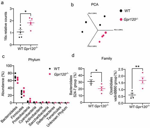 Figure 1. Gpr120−/− mice demonstrate altered gut microbiota composition.