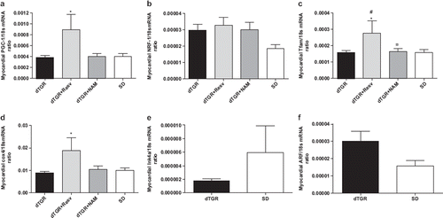 Figure 4. Bar graphs showing the effects of the 8-week resveratol and nicotinamide treatment on myocardial PGC–1α (a), NRF–1 (b), Tfam (c), and COX 4 (d); in panel (e) Ink4a and in panel (f) Arf mRNA expression between dTGR and SD rats. For abbreviations, see Means±SEM are given, n=6–17 in each group. *p<0.05 compared with dTGR; ¤p<0.05 compared with dTGR+resv; #p<0.05 compared with SD rats.