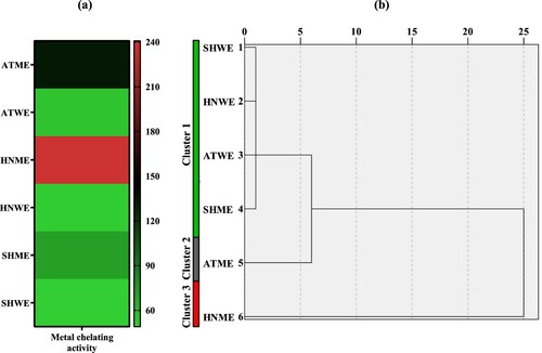 Figure 4. (a) Heatmap based on IC50 values for metal chelating activities of plant extracts and (b) dendrogram (High and low activities were represented by red and green colour, respectively). ATME: Methanol extract of A. tokatensis; ATWE: Water extract of A. tokatensis; HNME: Methanol extract of H. noeanum; HNWE: Water extract of H. noeanum; SHME: Methanol extract of S. huber-morathii; SHWE: Water extract of S. huber-morathii.