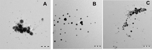 Figure 4 (A) TEM of AgNPs (solution phase) using mPEGTH2; (B) TEM of AgNPs (solid phase) using mPEGTH2 (1:1, AgNO3:mPEGTH2); (C) TEM of AgNPs (solid phase) using mPEGTH2 (1:2, AgNO3:mPEGTH2).