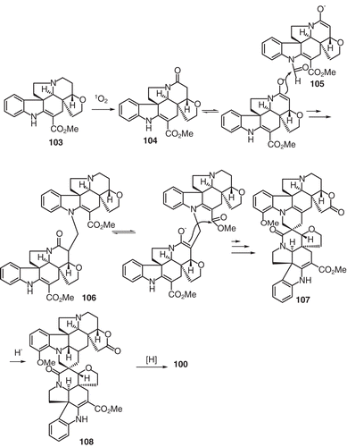 Figure 11.  Biogenetic pathway for alkaloid 100.