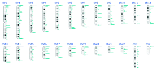 Figure 4. DNA methylation events per chromosome after DNA enrichment with MagMeDIP kit, hybridization to Nimblegen 385K Human Promoter plus CpG Islands arrays and bioinformatics analysis.