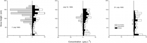 FIGURE 5. Vertical concentration profiles of nss-sulfate, nitrate, and ammonium at Salisbury Island through July 1995