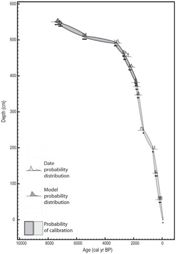 FIGURE 3. Age-depth model for Wai'ānapanapa at 2103 m on windward Haleakalā. Width of the color bands describes the degree of uncertainty in the model. Two shades of gray meet at the site of a slump, ∼1850 cal yr BP, which was removed from the age-depth model. Models were created with OxCal v4.1.7 (CitationBronk Ramsey, 2009).