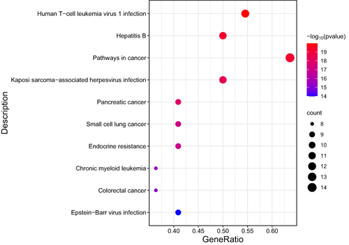 Figure 7 Bubble chart of KEGG. In the bubble chart of KEGG, the horizontal axis indicates the proportion of genes enriched in each entry, while the vertical axis represents the degree of enrichment based on the P-value (log10 conversion).