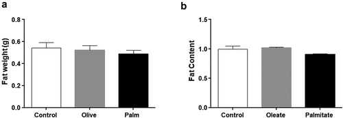 Figure 1. Low doses of fatty acids do not affect fat accumulation in 3T3-L1 adipocytes and mouse WAT.