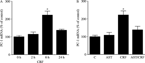 Figure 13.  Effects of CRF on PC-1 mRNA levels. (A) Time-dependent changes in CRF-induced PC-1 mRNA levels. Cells were incubated with the medium containing 100 nM CRF for the times indicated. (B) Effects of a CRF-receptor antagonist on CRF-induced PC-1 mRNA levels. Cells were pre-incubated with the medium containing 1 μM AST or vehicle for 30 min and then incubated for 6 h with the medium containing 100 nM CRF or vehicle; *P < 0.005 (compared with control (0 h or C)). [Reproduced with permission from Kageyama et al. (Citation2009b). Copyright © Elsevier.]