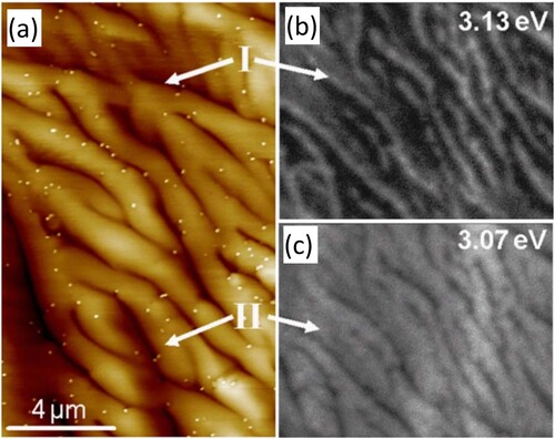 Figure 11. (a) AFM image of the surface of an InGaN/GaN QW. (b) monochromatic CL map of the same surface in (a) taken at 3.13 eV. (c) monochromatic CL map of the same surface in (a) taken at 3.07 eV. The figure is reused from [Citation89]. © 2005 American Institute of Physics. All rights reserved.