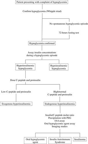 Figure 2 Flowchart for the diagnosis of insulin autoimmune syndrome.Abbreviations: PEG, polyethylene glycol; IAA, insulin autoantibodies.