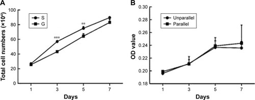 Figure 4 Cell proliferation on nanoscaled and microscaled topographical surface. Aligned topography restrained hASC proliferation on microscaled surface (A), but not on nanoscaled surface (B). **p<0.01; ***p<0.001.Abbreviation: hASCs, human adipose-derived stem cells.