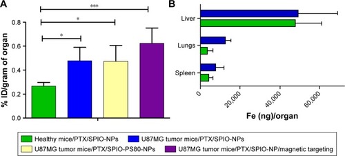 Figure 5 The ex vivo biodistribution study (n = 7) at 24 h after the injection of PTX/SPIO-NPs was performed by quantification of Fe (SPIO) using ESR spectroscopy in brain tissue from healthy and GBM-bearing mice.Notes: (A) Ex vivo biodistribution of PTX/SPIO-NPs or PTX/SPIO-PS80-NPs in the brain of healthy or GBM-bearing mice (n = 7) with or without the application of an external magnetic field. With the disrupted BBB in the GBM-bearing mice, the accumulation of NPs was twofold higher than that in the control group, and magnetic targeting resulted in the highest iron (Fe) enhancement among all the groups. (B) Ex vivo biodistribution in the liver, spleen and lungs (RES organs). There were no significant differences in uptake among different organs for healthy mice or GBM-bearing mice. PTX/SPIO-PS80-NPs, PS80-coated PTX/SPIO-NPs; PTX/SPIO-NPs, PTX/SPIO loaded PLGA-based NPs. *p < 0.05, ***p < 0.001.Abbreviations: BBB, blood–brain barrier; ESR, electron spin resonance; GBM, glioblastoma; ID, injected dose; NPs, nanoparticles; PLGA, poly(lactic-co-glycolic acid); PS80, polysorbate 80; PTX, paclitaxel; RES, reticuloendothelial system; SPIO, super paramagnetic iron oxide.