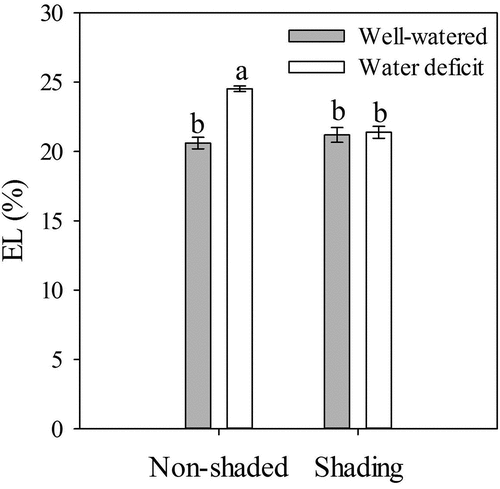 Figure 4. Electrolyte leakage (EL) at 24 DAT of ‘Sweet Ann’ strawberry plants grown under non-shaded and shading conditions. DAT: days after treatment. Values are the means of four replicates, with error bars representing the standard error. Means denoted by the same letter do not significantly differ at p ≤ .01 according to the Tukey’s test.