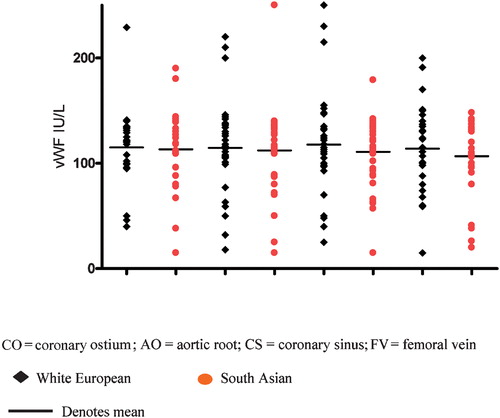 Figure 2 Comparison of von Willebrand factor levels sampled at different sites between white European(n = 33) and South Asians (n = 36) with significant coronary artery disease (all P‐values NS).