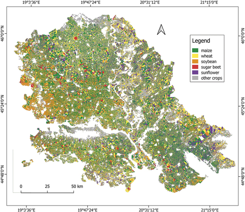 Figure 2. Crop classification maps for year 2022 – spatial distribution of five main crop types in Vojvodina: maize, wheat, soybean, sugar beet, and sunflower.
