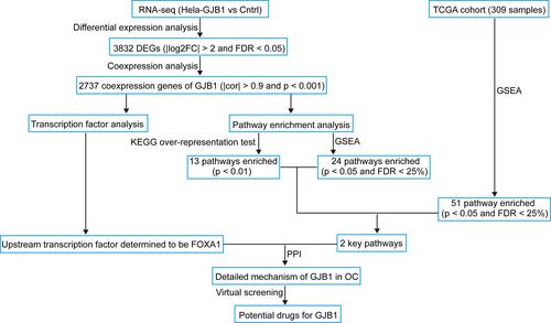 Figure 1 Flow diagram of the current study: data collection, preprocessing, analysis, and validation.