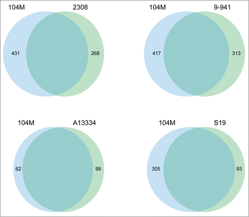 Figure 3. The Venn diagrams showing the distribution of strain-specific genes between the genomes of 104M and other B.abortus strains.