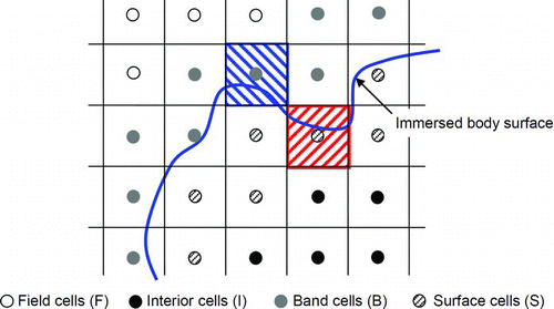 FIG. 1 Classification of computational cells. (Color figure available online.)